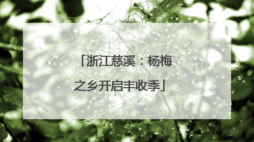 浙江慈溪：杨梅之乡开启丰收季