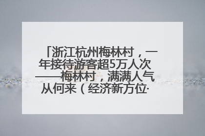 浙江杭州梅林村，一年接待游客超5万人次——梅林村，满满人气从何来（经济新方位·农村消费观察）