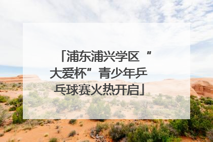 浦东浦兴学区“大爱杯”青少年乒乓球赛火热开启