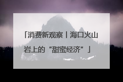 消费新观察丨海口火山岩上的“甜蜜经济”