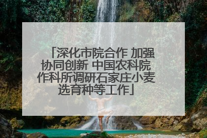 深化市院合作 加强协同创新 中国农科院作科所调研石家庄小麦选育种等工作