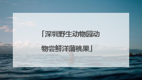 深圳野生动物园动物尝鲜洋蒲桃果