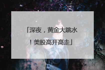 深夜，黄金大跳水！美股高开高走