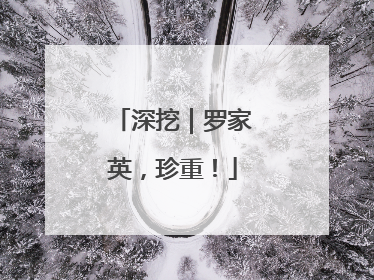 深挖｜罗家英，珍重！