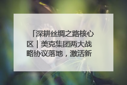 深耕丝绸之路核心区｜美克集团两大战略协议落地，激活新疆开放新动能