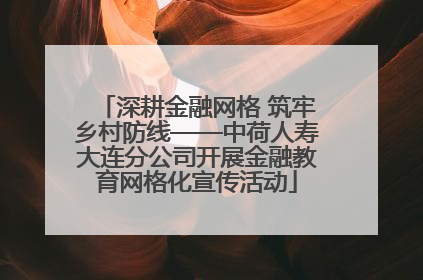 深耕金融网格 筑牢乡村防线——中荷人寿大连分公司开展金融教育网格化宣传活动