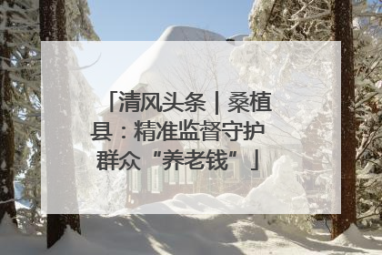 清风头条｜桑植县：精准监督守护群众“养老钱”