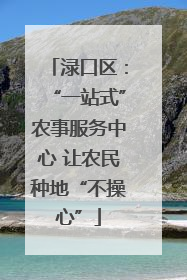 渌口区：“一站式”农事服务中心 让农民种地“不操心”