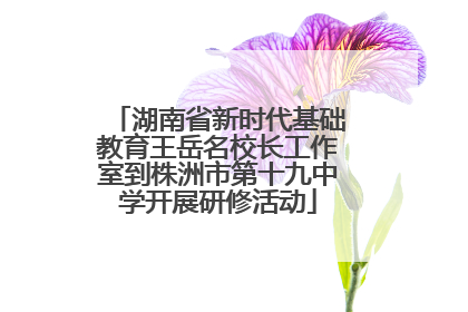 湖南省新时代基础教育王岳名校长工作室到株洲市第十九中学开展研修活动