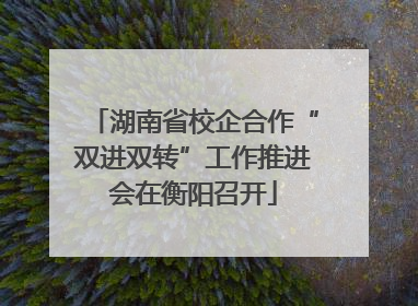 湖南省校企合作“双进双转”工作推进会在衡阳召开