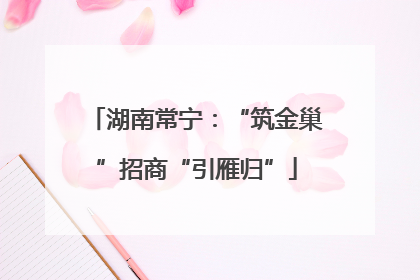 湖南常宁：“筑金巢”招商“引雁归”