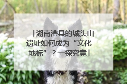 湖南澧县的城头山遗址如何成为“文化地标”？一探究竟