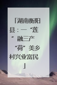 湖南衡阳县：一“莲”融三产 “荷”美乡村兴业富民