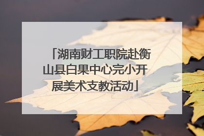 湖南财工职院赴衡山县白果中心完小开展美术支教活动