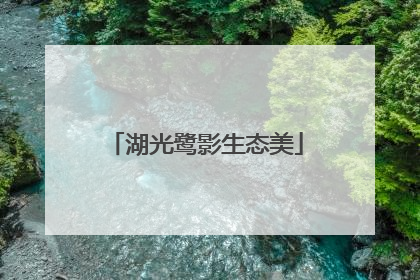 湖光鹭影生态美