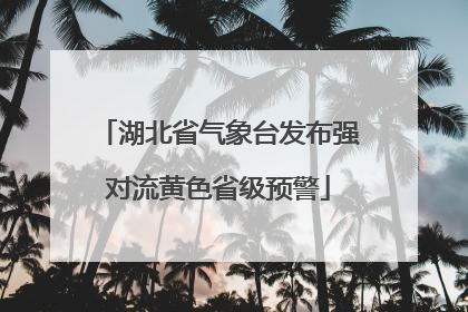 湖北省气象台发布强对流黄色省级预警
