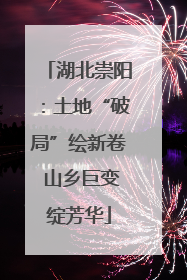 湖北崇阳：土地“破局”绘新卷 山乡巨变绽芳华