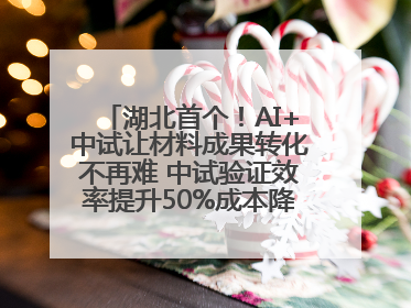 湖北首个！AI+中试让材料成果转化不再难 中试验证效率提升50%成本降低60%