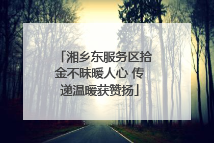 湘乡东服务区拾金不昧暖人心 传递温暖获赞扬