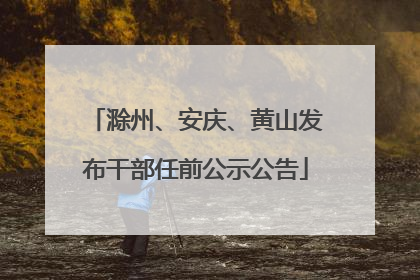 滁州、安庆、黄山发布干部任前公示公告