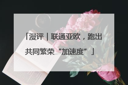 漫评｜联通亚欧，跑出共同繁荣“加速度”