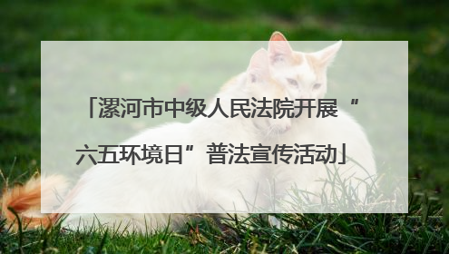 漯河市中级人民法院开展“六五环境日”普法宣传活动