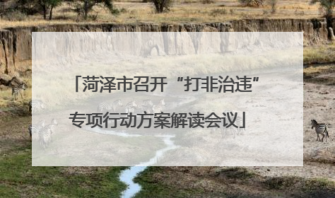菏泽市召开“打非治违”专项行动方案解读会议