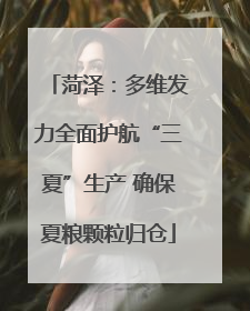 菏泽：多维发力全面护航“三夏”生产 确保夏粮颗粒归仓