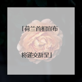 荷兰首相宣布将递交辞呈
