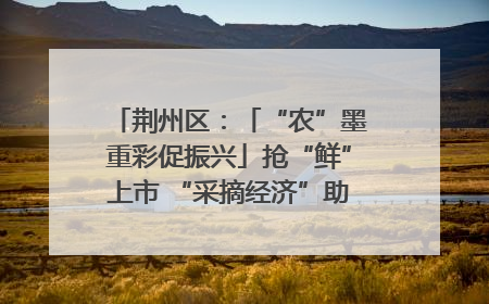荆州区：「“农”墨重彩促振兴」抢“鲜”上市 “采摘经济”助农“甜蜜增收”