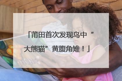 莆田首次发现鸟中“大熊猫”黄腹角雉！