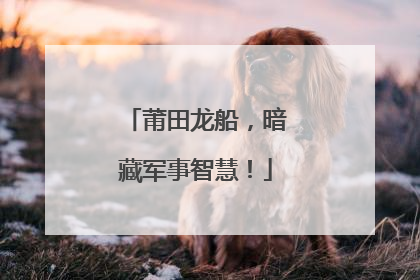 莆田龙船，暗藏军事智慧！