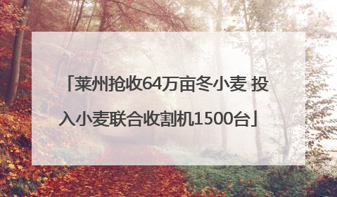 莱州抢收64万亩冬小麦 投入小麦联合收割机1500台