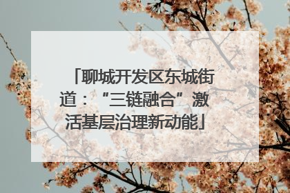 聊城开发区东城街道：“三链融合”激活基层治理新动能