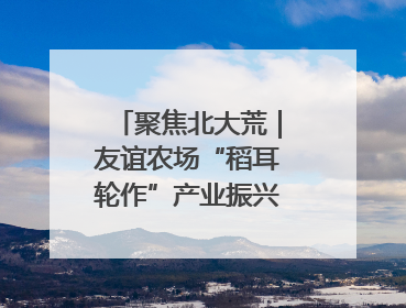 聚焦北大荒｜友谊农场“稻耳轮作”产业振兴“花开两朵”