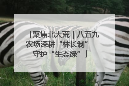 聚焦北大荒｜八五九农场深耕“林长制” 守护“生态绿”