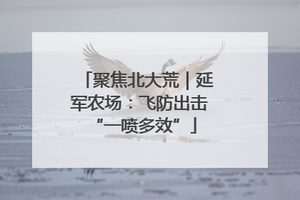 聚焦北大荒｜延军农场：飞防出击 “一喷多效”