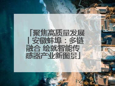 聚焦高质量发展丨安徽蚌埠：多链融合 绘就智能传感器产业新图景