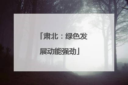 肃北：绿色发展动能强劲