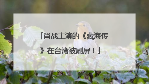 肖战主演的《藏海传》在台湾被刷屏！