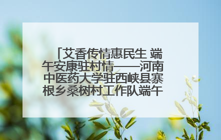 艾香传情惠民生 端午安康驻村情——河南中医药大学驻西峡县寨根乡桑树村工作队端午中医惠民记