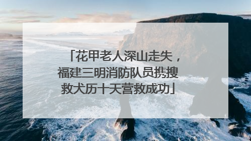 花甲老人深山走失，福建三明消防队员携搜救犬历十天营救成功