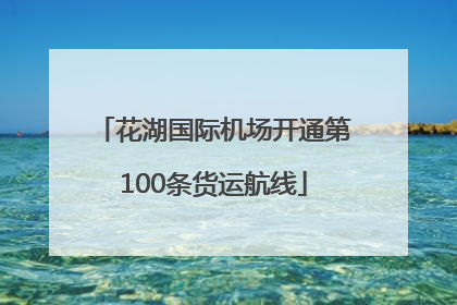 花湖国际机场开通第100条货运航线