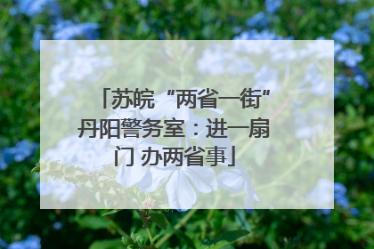 苏皖“两省一街”丹阳警务室：进一扇门 办两省事