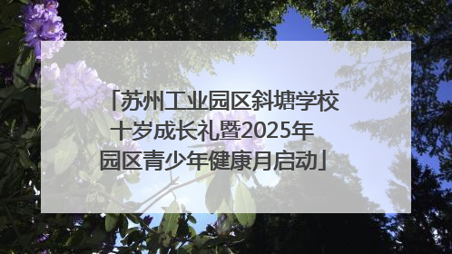 苏州工业园区斜塘学校十岁成长礼暨2025年园区青少年健康月启动