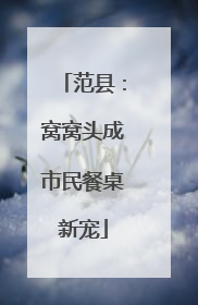 范县：窝窝头成市民餐桌新宠