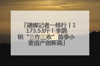 融媒记者一线行丨1173.53斤！李鹊镇“三作三收”首季小麦亩产创新高