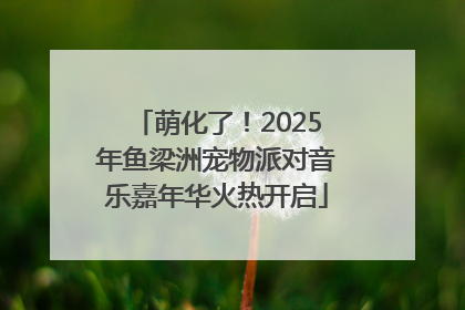 萌化了！2025年鱼梁洲宠物派对音乐嘉年华火热开启