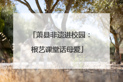 萧县非遗进校园：根艺课堂话母爱