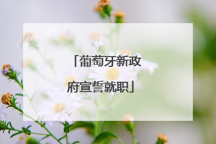 葡萄牙新政府宣誓就职